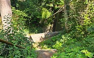 Kaiserrundweg, Treppe am Wasserfall, Foto: Franziska Schwarz, Lizenz: Amt Joachimsthal