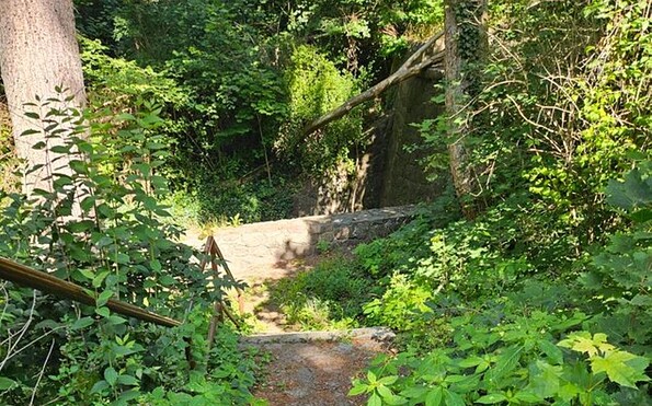 Kaiserrundweg, Treppe am Wasserfall, Foto: Franziska Schwarz, Lizenz: Amt Joachimsthal
