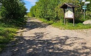 Schulseerundweg, Apfelbaumallee, Foto: Franziska Schwarz, Lizenz: Amt Joachimsthal