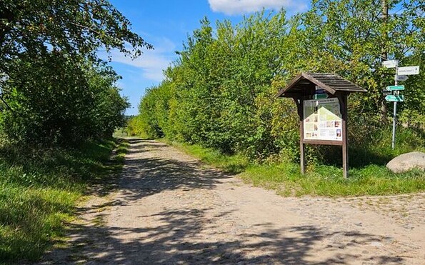 Schulseerundweg, Apfelbaumallee, Foto: Franziska Schwarz, Lizenz: Amt Joachimsthal