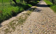 Schulseerundweg, Apfelbaumallee, Foto: Franziska Schwarz, Lizenz: Amt Joachimsthal