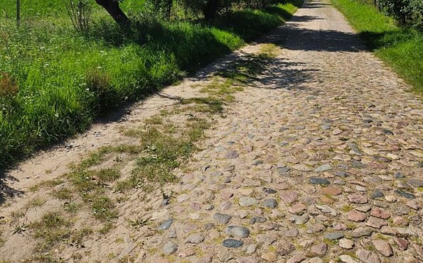 Schulseerundweg, Apfelbaumallee, Foto: Franziska Schwarz, Lizenz: Amt Joachimsthal