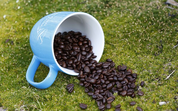 Kaffeetasse, Foto: LKEE Kai Hüttner, Lizenz: LKEE Kai Hüttner