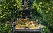 Goethetreppe, Foto: Torsten Stapel