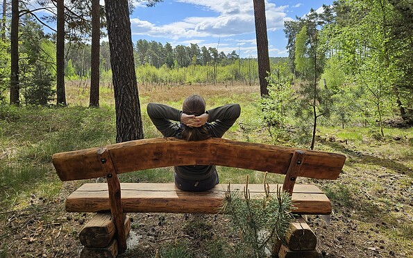Wanderpause am Wildnispfad, Foto: Stiftung Naturlandschaften Brandenburg