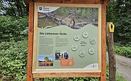 Infotafeln erklären Wildnis, Foto: Stiftung Naturlandschaften Brandenburg