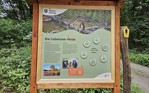 Infotafeln erklären Wildnis, Foto: Stiftung Naturlandschaften Brandenburg