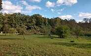 Streuobstwiese im Tiergarten, Foto: Norman Siehl, Lizenz: Tourismusverband Dahme-Seenland e.V.