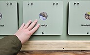 Interaktive Infotafeln erklären Natur, Foto: Stiftung Naturlandschaften Brandenburg