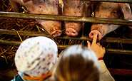Kinder im Schweinestall, Foto: Kathleen Bartel, Lizenz: Mosaik-Berlin gGmbH