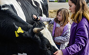 Kuhkuscheln für Kinder, Foto: Kathleen Bartel, Lizenz: Mosaik-Berlin gGmbH