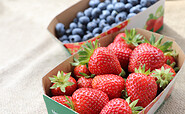 schwanteland_selbsternte_erdbeeren_heidelbeeren, Foto: SL Gartenbau GmbH, Lizenz: SL Gartenbau GmbH
