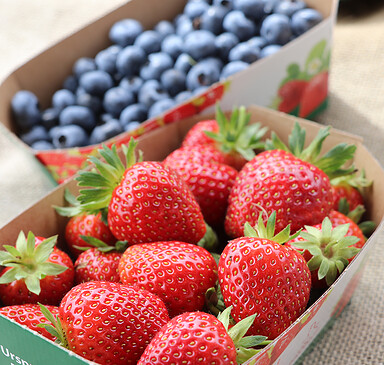 Schwanteland Selbsternte (self-harvest)