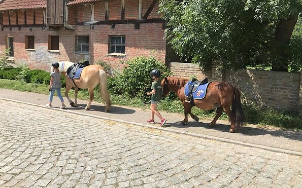 Reiten auf dem Bauernhof Gierke, Foto: Gierke, Lizenz: Gierke