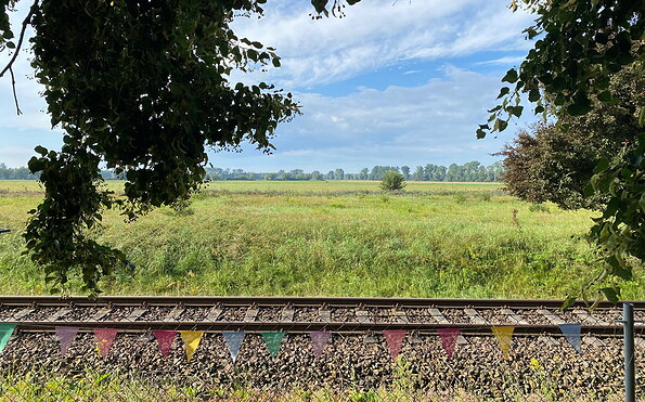 Café Sommerfeld , Foto: Café Sommerfeld , Lizenz: Café Sommerfeld