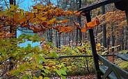 Försterblick am Wirchensee, Foto: Constanze Mikeska, Lizenz: Seenland Oder-Spree