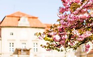 Schloss Plaue, Foto: Schloss Plaue