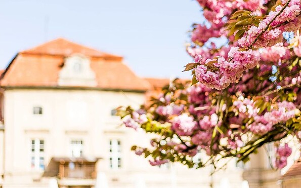Schloss Plaue, Foto: Schloss Plaue