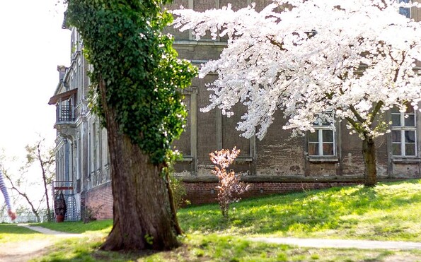 Schloss Plaue, Foto: Schloss Plaue