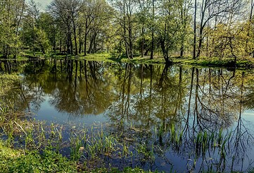 Schlosspark Plaue, Foto: Dr. Gunter Dörhöfer