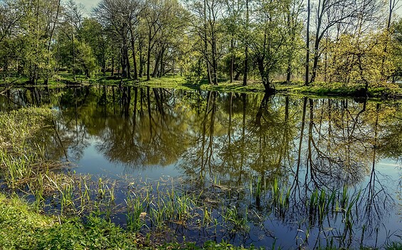 Schlosspark Plaue, Foto: Dr. Gunter Dörhöfer