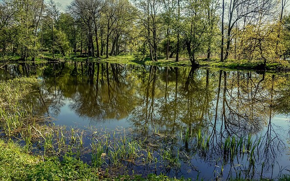 Schlosspark Plaue, Foto: Dr. Gunter Dörhöfer