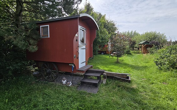 Erlenhof in Oderbruch, Foto: Dana Braun, Lizenz: Seenland Oder-Spree