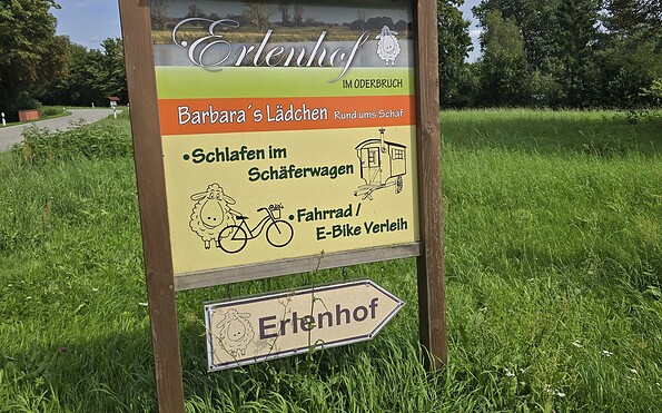 Erlenhof in Oderbruch, Foto: Dana Braun, Lizenz: Seenland Oder-Spree