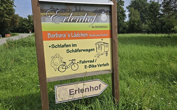 Erlenhof in Oderbruch, Foto: Dana Braun, Lizenz: Seenland Oder-Spree