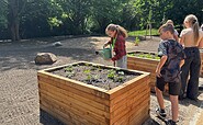 Raised beds in the green classroom, Foto: Julia Kussatz, Lizenz: Zweckverband Lausitzer Seenland Brandenburg