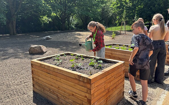 Raised beds in the green classroom, Foto: Julia Kussatz, Lizenz: Zweckverband Lausitzer Seenland Brandenburg