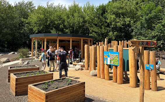 Green classroom at Lake Senftenberg, Foto: Julia Kussatz, Lizenz: Zweckverband Lausitzer Seenland Brandenburg