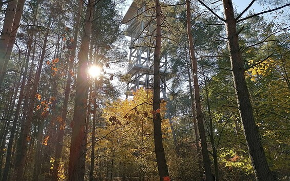 Aussichtsturm Senftenberger See Südsee, Foto: Katja Wersch, Lizenz: Tourismusverband Lausitzer Seenland e.V.