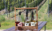 Wolkenberg Wein-Arrangement , Foto: Anett Bellmann, Lizenz: Wolkenberg Kellerei GmbH & Co KG