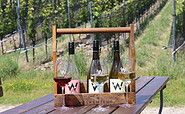 Wolkenberg Wein-Arrangement , Foto: Anett Bellmann, Lizenz: Wolkenberg Kellerei GmbH & Co KG