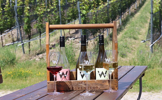 Wolkenberg Wein-Arrangement , Foto: Anett Bellmann, Lizenz: Wolkenberg Kellerei GmbH & Co KG