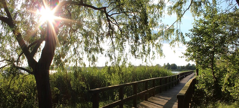 Blankensee Wassersteg, Foto: A.Stein, Lizenz: Tourismusverband Fläming e.V.