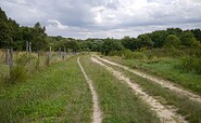 Rundwanderweg Döberitzer Heide, Foto: Tourismusverband Havelland e.V., Lizenz: Tourismusverband Havelland e.V.