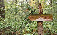 Bredower Forst, Foto: Sandra Fonarob / wanderjenosse.de, Lizenz: Sandra Fonarob / wanderjenosse.de