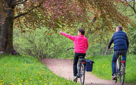 cyclists, Foto: Florian Läufer, Lizenz: Seenland Oder-Spree e.V.