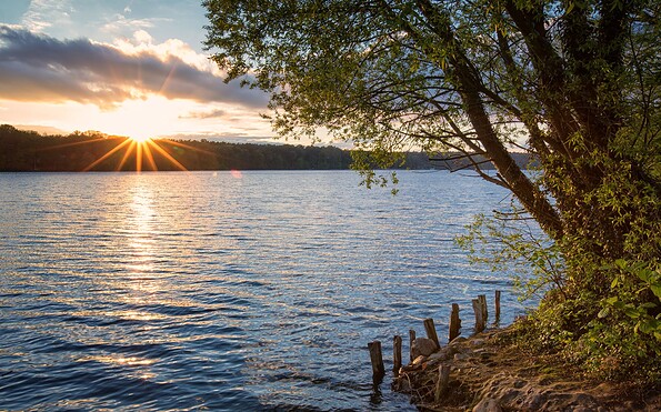 Straussee, Foto: Florian Läufer, Lizenz: Seenland Oder-Spree
