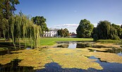 Schlosspark Neuhardenberg, Foto: Florian Läufer, Lizenz:  Seenland Oder-Spree