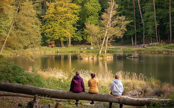 Teufelssee, Foto: Florian Läufer, Lizenz: Seenland Oder-Spree
