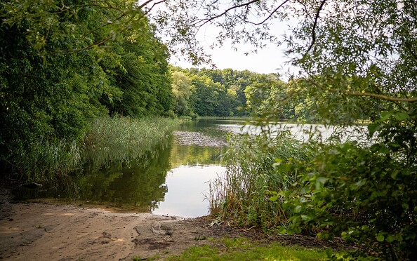 Badestelle Mechesee Bernau, Foto: Michél Schmidt, Lizenz: BeSt Bernauer Stadtmarketing GmbH