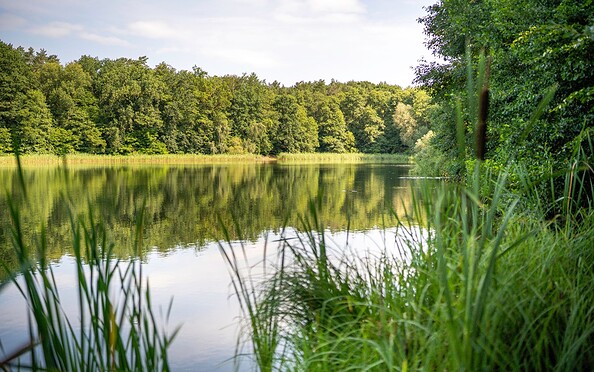 Badestelle Mechesee Bernau, Foto: Michél Schmidt, Lizenz: BeSt Bernauer Stadtmarketing GmbH