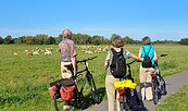 Im Oder-Seenland, Foto: Seenland Oder-Spree