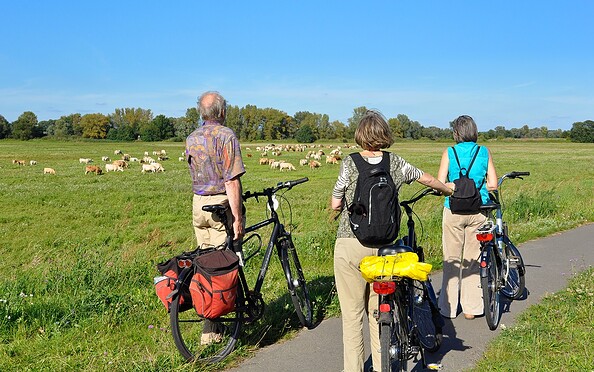 Im Oder-Seenland, Foto: Seenland Oder-Spree