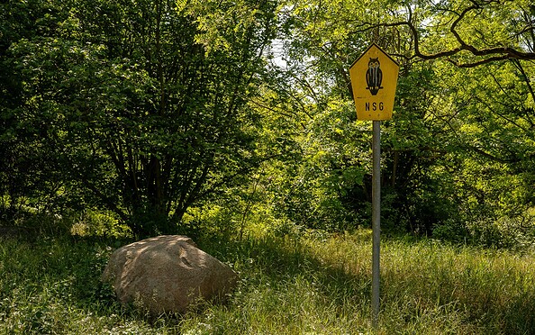 Faule Wiesen Schönow, Foto: Michél Schmidt, Lizenz: BeSt Bernauer Stadtmarketing GmbH