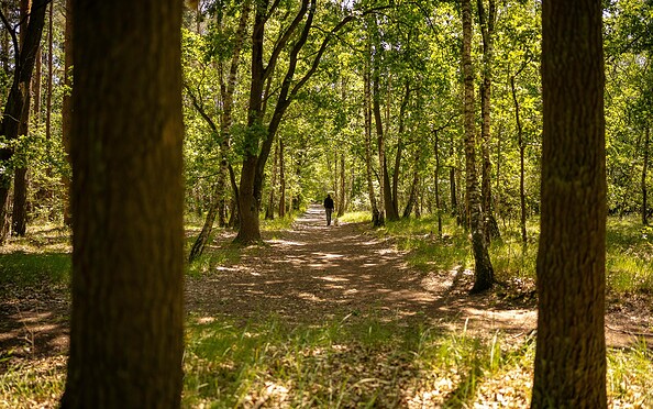 Faule Wiesen Schönow, Foto: Michél Schmidt, Lizenz: BeSt Bernauer Stadtmarketing GmbH