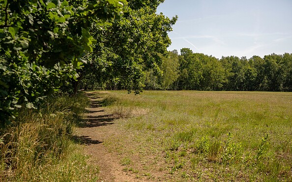 Faule Wiesen Schönow, Foto: Michél Schmidt, Lizenz: BeSt Bernauer Stadtmarketing GmbH